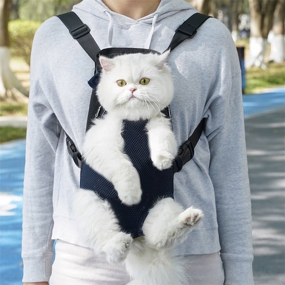 Cat Outdoor Carrying Bag