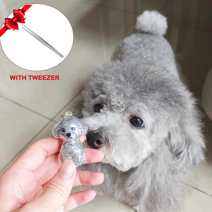 Pet Hair Keepsake Capsule  Save Your Dog’s Fur Memories Forever