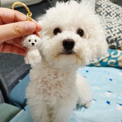 Pet Hair Keepsake Capsule  Save Your Dog’s Fur Memories Forever