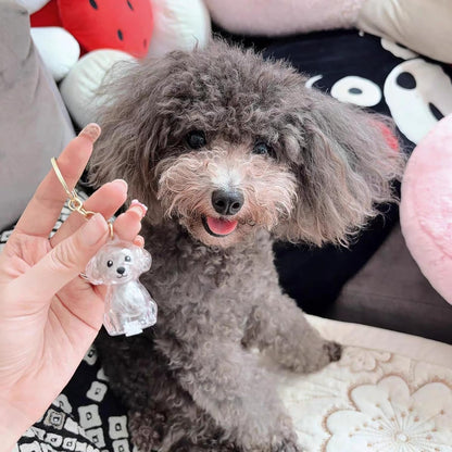 Pet Hair Keepsake Capsule  Save Your Dog’s Fur Memories Forever