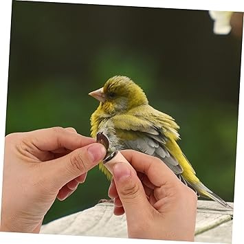 Wholesale Musical Instrument Handmade Solid Wood Hand Twisted Bird Whistle